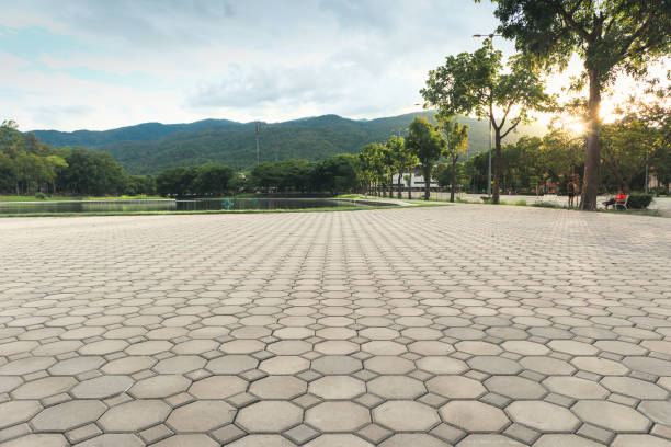 Trusted Ladera Heights, CA Driveway Pavers Experts