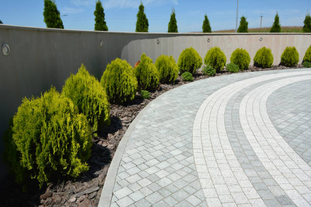 Best Driveway Repair Near Me  in Ladera Heights, CA