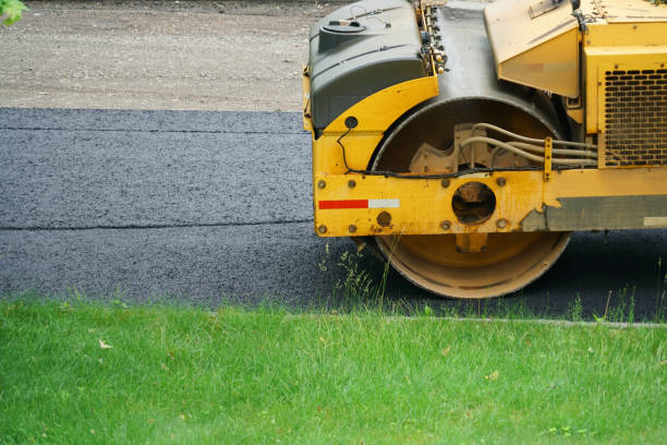 Best Custom Driveway Pavers  in Ladera Heights, CA